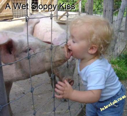 funny and wet kiss, kid kissing a pig