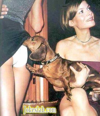 a dog knows how to find the fun with a woman