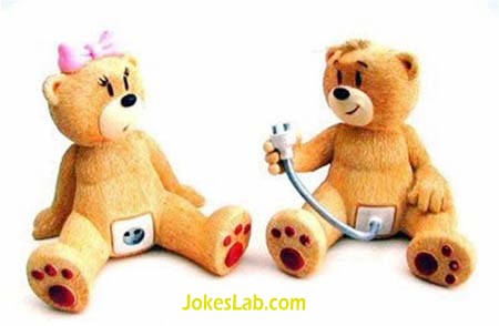 toy sex, funny bear plug