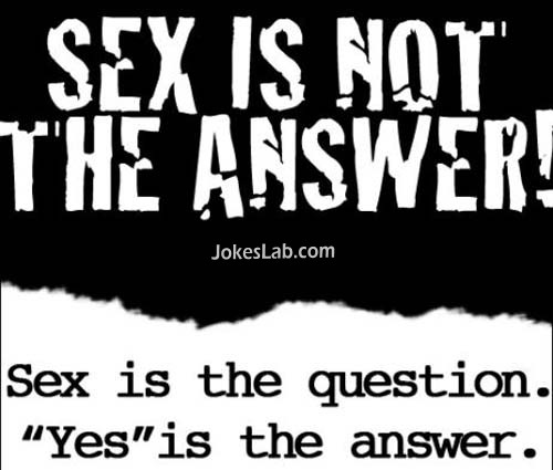 shit slogan, sex is not the answer, it is the question