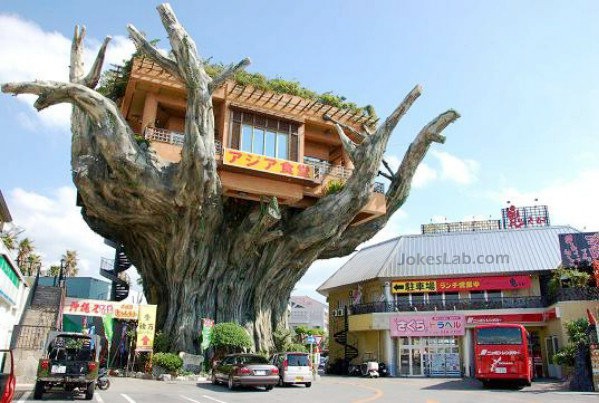 funny Japanese house, on the tree