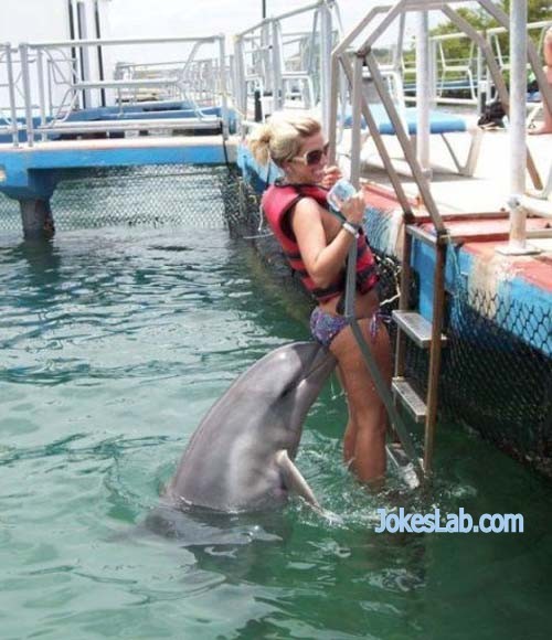 funny-curious-dolphin-kissing-woman