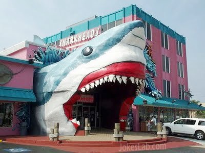 funny-shark-design-building