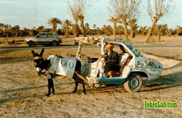 funny car picture, donkey car