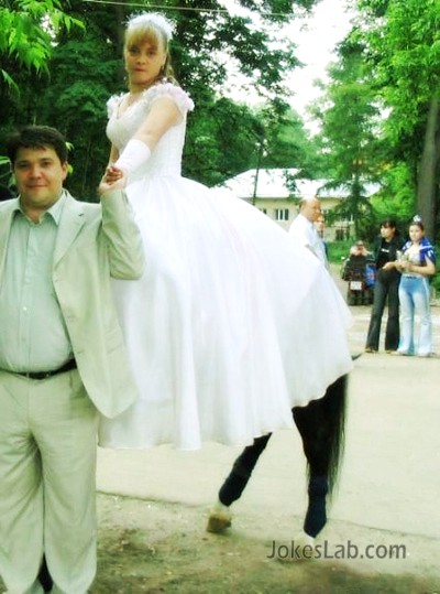 funny wedding photo, horse's legs