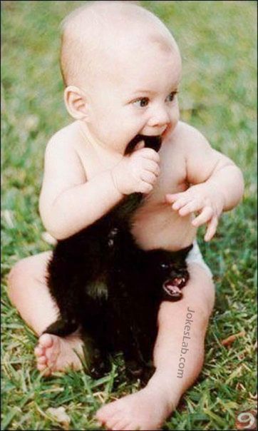 funny child biting a cat's tail