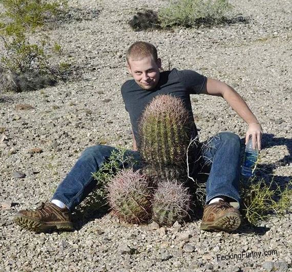 natural-cock-cactus