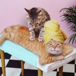 funny-cat-massage