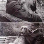 why-dog-is-better-than-girl-friend