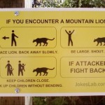 funny-instruction-when-you-encounter-a-mountain-lion